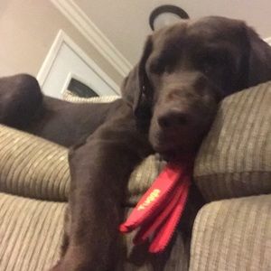 Meet your Posher, Elaina